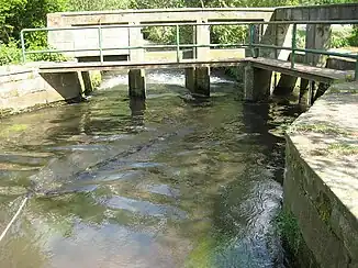 Ottersheimer Teilungs­wehr: Spiegelbach-Abzweig nach rechts