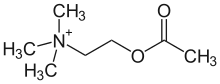 Struktur von Acetylcholin