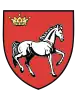 Wappen des Kreises Iași