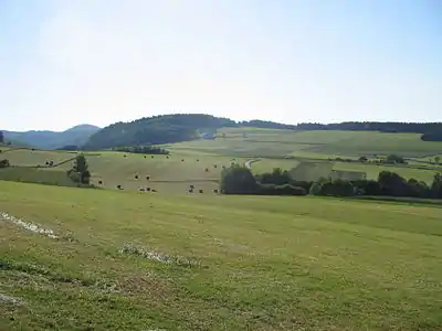 Blick auf das „Ahlefeld“