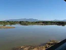 Feuchtgebiet im Parc Natural dels Aiguamolls de l’Empordà (Spanien)