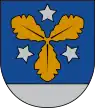 Wappen von Aizkraukle