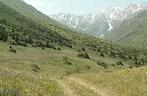 Naturreservat Aksu-Jabagly, Gebirgskette Jabagly, Plateau zwischen Kshi- und Ulken Kaindy