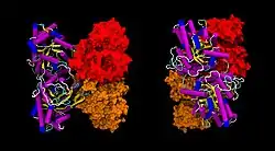 Aldolase