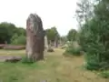 Megalithen Les Pierres Droites in der Réserve naturelle régionale des Landes de Monteneuf