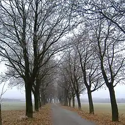 Freihamer Allee