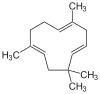 α-Caryophyllen