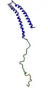 Α-Synuclein