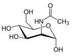 Struktur von α-N-Acetylmannosamin