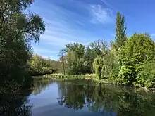 Altrhein in Neuried-Altenheim im Sommer