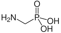 Struktur der Aminomethylphosphonsäure