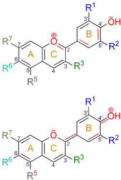 Grundstruktur der Anthocyane: das Flavyliumkation