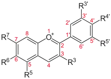 Anthocyanidine