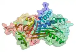 Α-1-Antitrypsin