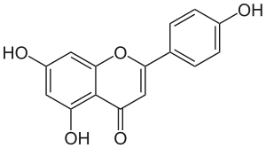 Apigenin: Aglycon