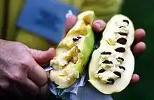 Papau (Pawpaw)