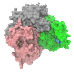 Asparaginase 2 (Escherichia coli K12)