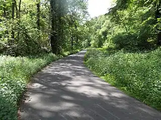 Verkehrsweg im Aspelbachtal