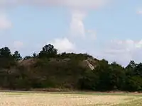 Der Tumulus de la Motte de Puytaillé