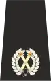 UK Police Assistent Chief Constable Epaulette