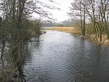 Aubach mit erhöhtem Wasserstand kurz vor Durchfluss des Medeweger Sees im März 2007