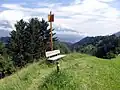 Triangulierungspunkt in Tirol mit Hinweispflock (rot-weiß markiert) und Stangensignal