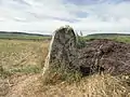 Menhir von Haute-Borne