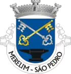 Wappen von São Pedro de Merelim