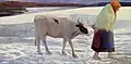 Winter in Österreich