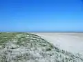 Sand und Dünen am Meer