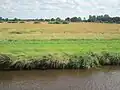 Hochwasserschutz für Barßel: Polder südlich des Barßeler Tiefs