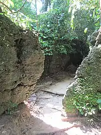 Weg zur Limestone Cave