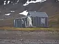 Ein Eisbär untersucht die Hütte Heimland auf der Frankenhalbinsel