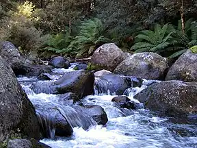 Barrington River