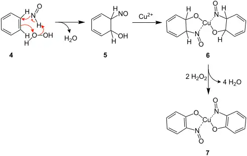 Mechanismus der Baudisch-Reaktion Teil 2