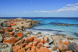 Orangefarbene Granitblöcke in Bay of Fires