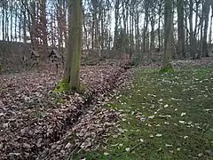 Der Beginn des 2. Quellbaches des Alfterer Bornheimer Baches (Görresbach) als Gerinne im Jakob Wahlen Park