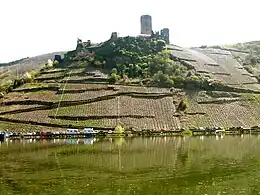 3. Alte Terrassen unter einer mittelalterlichen Burg: Ruine Metternich mit Steillage Beilsteiner Schlossberg