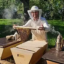 Oberträgerbeute Version Bienenbarke