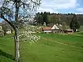 Beim Vogt auf Mühlstein (3. Etappe)