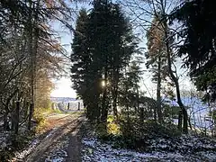 Wanderweg führt an der Quellmulde des Berger Baches vorbei