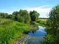 Landschaft an der Kleinen Maas