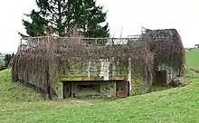 Teilweise überwucherter Bunker auf einer Wiese.