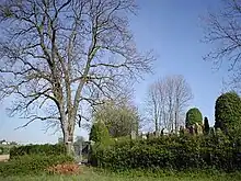 Jüdischer Friedhof