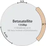 Genom­kartevon Beta­satellite…