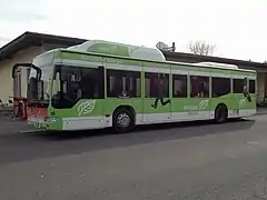 Der Citaro Facelift CNG 25 mit Erdgas Vollwerbung.