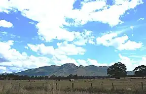 Mount Walsh bei Biggenden