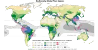 Die erste Weltkarte der Biodiversität von Pflanzen (hier überarbeitete Fassung Barthlott et al. 2014) zeigt die geographische Verteilung der globalen terrestrischen Biodiversität