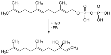 Biosynthesis von Nerolidol