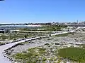 Vogelschutzgebiet des Lambert’s Bay Bird Island Nature Reserve